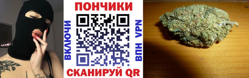 Конопля семена  как найти   Сураж 